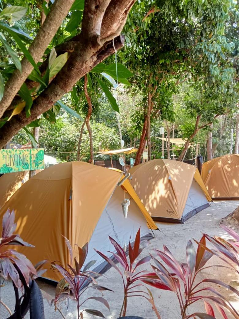 Redang Campstay ภายนอก รูปภาพ